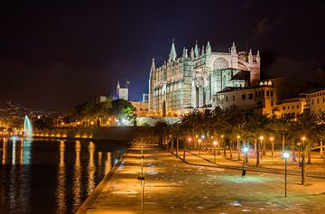 Mallorca Spanje, Kathedraal La Seu en Parc de la mar bij nacht van Alex Winter