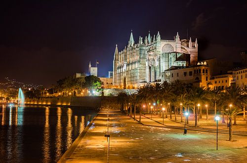 Mallorca Spanje, Kathedraal La Seu en Parc de la mar bij nacht