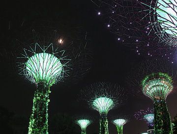 Gardens by the Bay bei Nacht