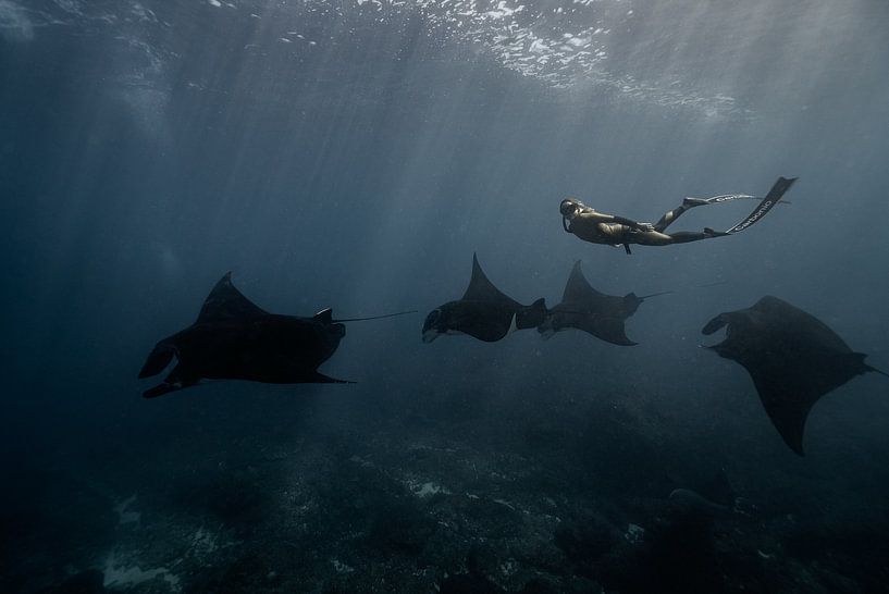 Under the Sea by Hello Pompoyo