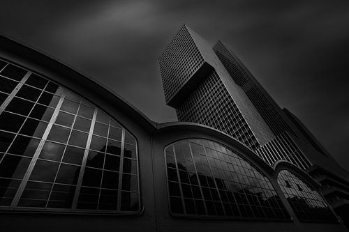 The Rotterdam differently