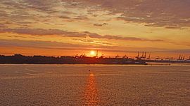 Sonnenaufgang bei der Fährüberfahrt von Hoeck nach Harwich