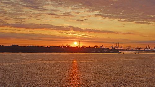 Zonsopgang tijdens de overtocht van Hoeck naar Harwich