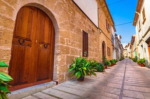 Typische Straße mit Topfpflanzen in der Altstadt von Alcudia, Mallorca, Spanien, Balearische Inseln