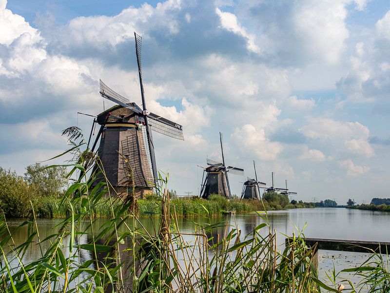 Kinderdijk - Windmühle von Sijmen van der Plicht