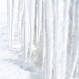 Eiskalt - weiße Eiszapfen von Jose Gieskes