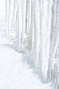 Eiskalt - weiße Eiszapfen von Jose Gieskes