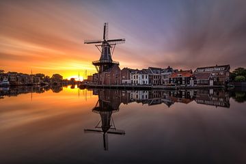 Timeless city of Haarlem van Costas Ganasos