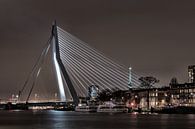 The Erasmus Bridge and the Euromast by Jaco Verheul thumbnail