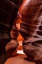 Antelope Canyon von Martijn Bravenboer Miniaturansicht