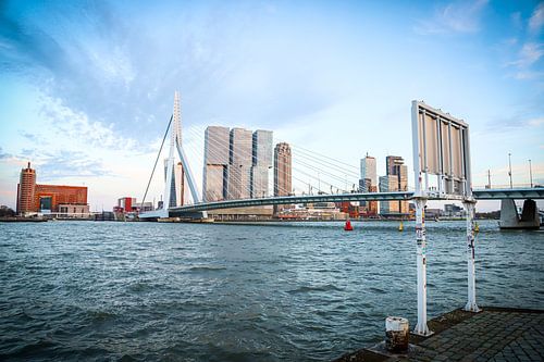 R O T T E R D A M [3]