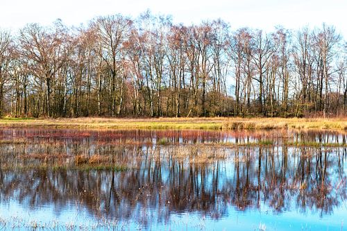 Empese- en Tondenseheide 3