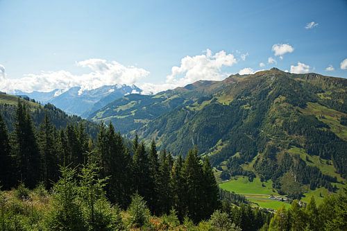 Paysage près d'Embach dans la région de Salzbourg
