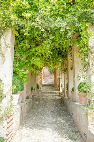sfeervol groen doorkijkje van Hanneke Bantje