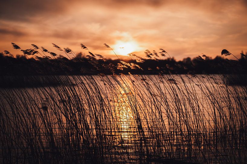 Bear bone sunset by Steffanie Schuster
