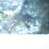 Klein boompje met sneeuw in de winter van Nanda Bussers