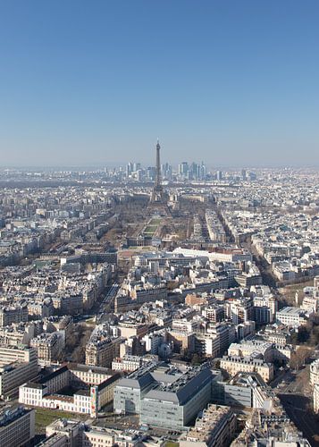 De daken van Parijs en de Eiffeltoren