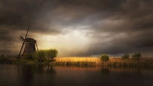 Die Natur als Künstlerin