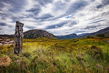 Pole in the highlands