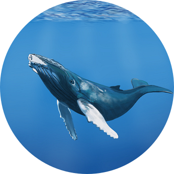 Bultrug walvis in de oceaan van Hans van Gurp