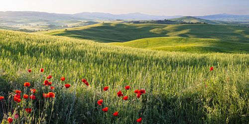 Zonsopgang bij Pienza, Toscane