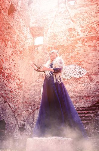 elfe guerrier en ruine teylingen