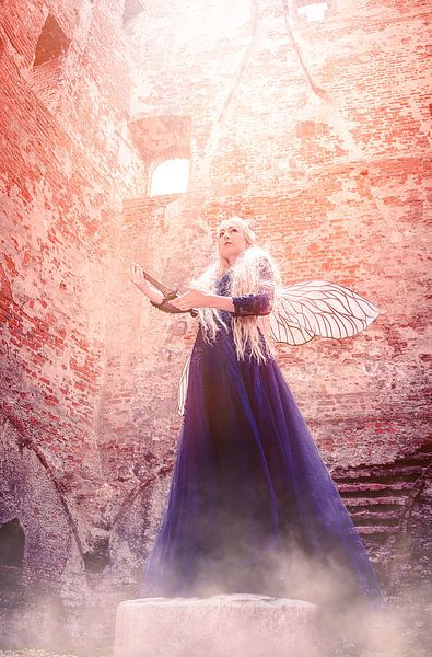 krieger elf in ruine teylingen von Kaylee Verschure