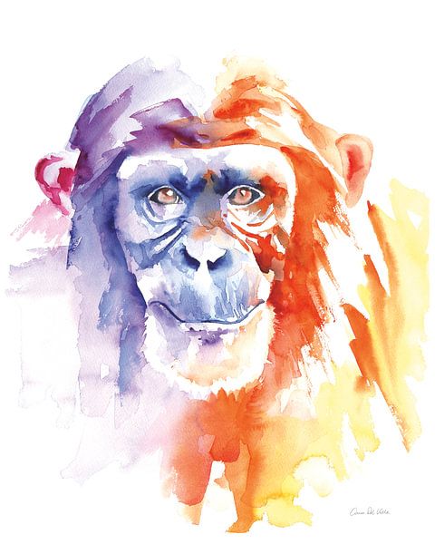 Chimpanzee II, Aimee Del Valle by Wild Apple