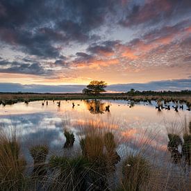 Sunset National Park Dwingelderveld Drenthe by Rick Goede