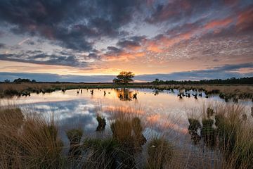 Zonsondergang Nationaal Park Dwingelderveld Drenthe van Rick Goede