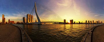 Rotterdam à l'horizon au coucher du soleil