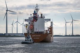 Singelgracht und Gruno V von Jan Georg Meijer