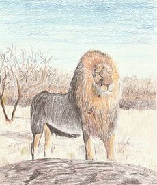 Drawing: lion by Jerzy Beerepoot