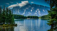 Rocky Mountains van Henriëtte Wanders thumbnail