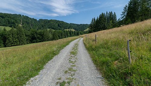 Chemin de terre à travers le paysage alpin
