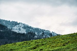 Groene weide voor besneeuwd Zwarte Woud van Andreas Nägeli