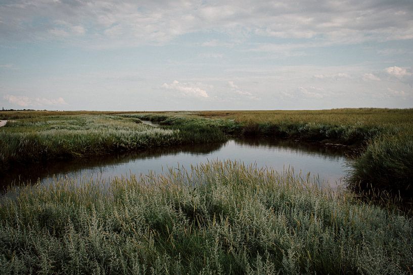 Schiermonnikoog 2 von Floris Hendriks