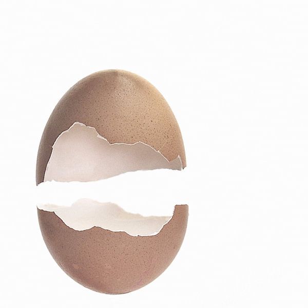 Zwevend ei par Anja Jooren