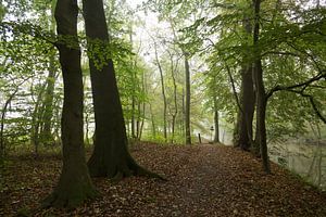Herfst o phet jaagpad langs de Kromme Rijn
