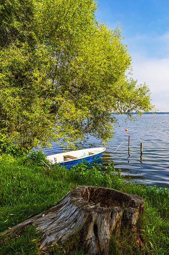 Boot en boomstronk aan de Schaalsee, vlakbij de stad Zarrentin