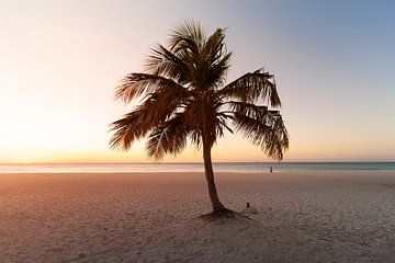 Tropical Vibes by Claire Droppert
