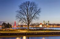 The tree on the Leuvehoofd, Rotterdam by Frans Blok - photos, art and other wall decoration thumbnail