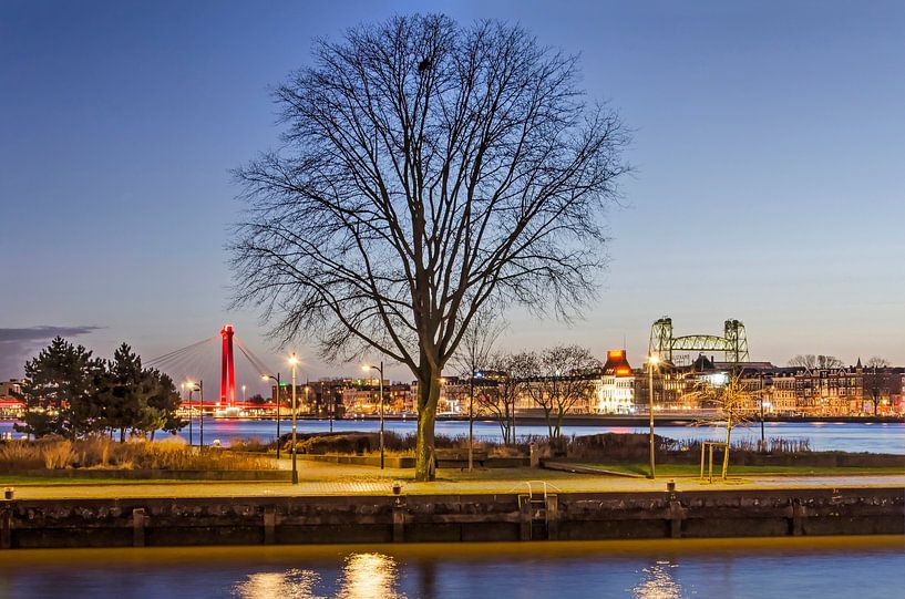 The tree on the Leuvehoofd, Rotterdam by Frans Blok - photos, art and other wall decoration