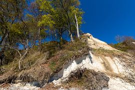 Roches de craie dans la Stubbenkammer près de Sassnitz sur GH Foto & Artdesign