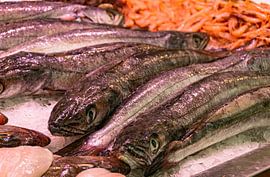 Fresh fish in the Mercado Central in Cadiz by Hans Verhulst