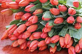 Bunch of red tulips by gea strucks