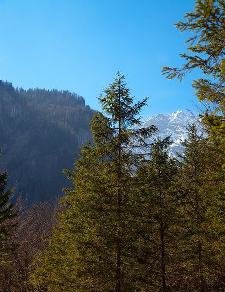 Alps by Bo Valentino
