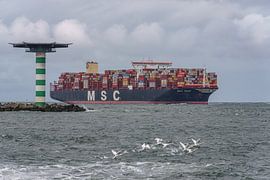 MSC Reef container ship. by Jaap van den Berg