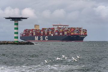 MSC Reef Containerschiff. von Jaap van den Berg