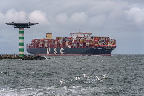 MSC Reef containerschip.